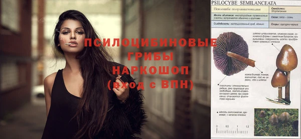дмт Алексеевка
