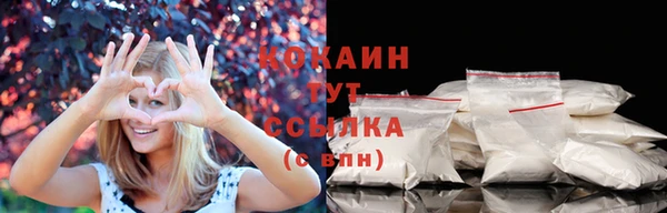 тгк Алексин