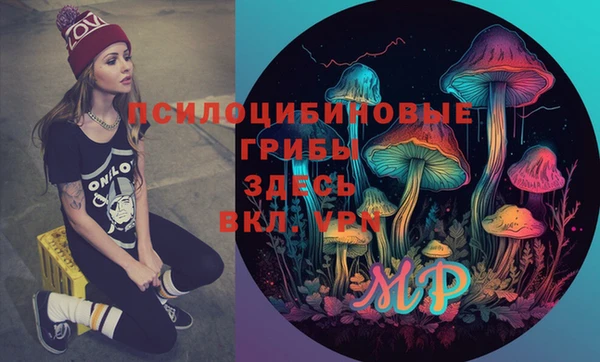 дмт Алексеевка