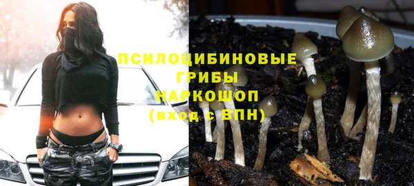 тгк Алексин