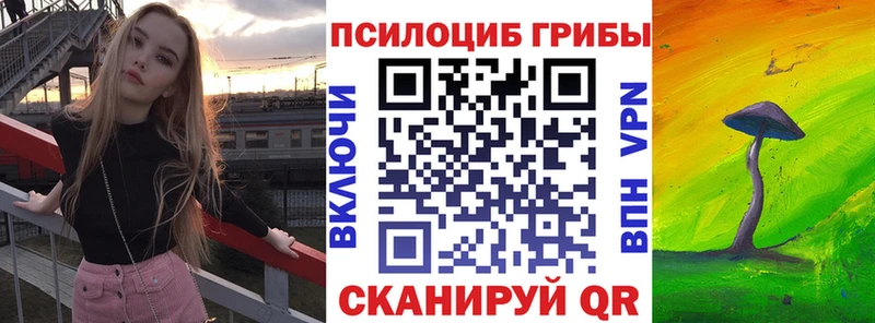 где можно купить наркотик  ссылка на мегу как зайти  Галлюциногенные грибы MAGIC MUSHROOMS  Большой Камень 