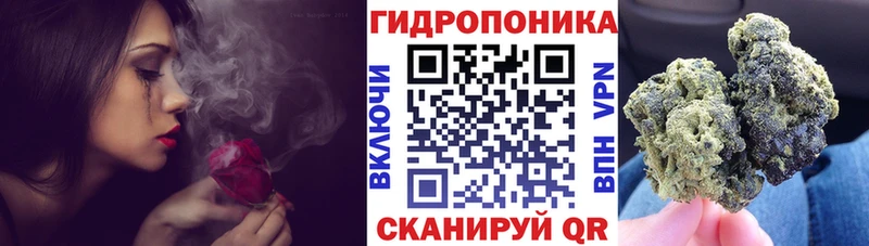 Каннабис ГИДРОПОН Большой Камень